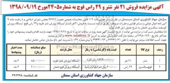 مزایده, مزایده فروش 21 نفر شتر و 29 راس قوچ