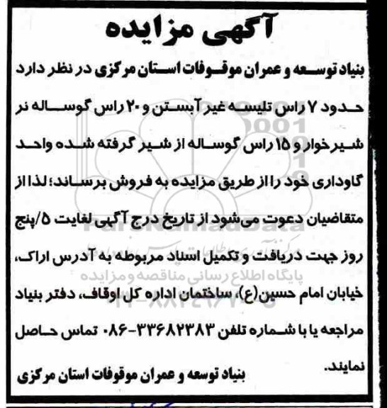مزایده , مزایده  7 راس تلیسه غیرآبستن و 20 راس گوساله نر 