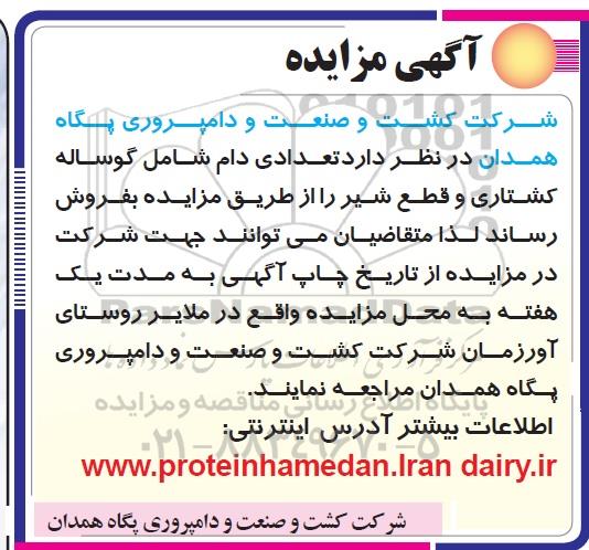آگهی مزایده , مزایده فروش تعدادی دام 