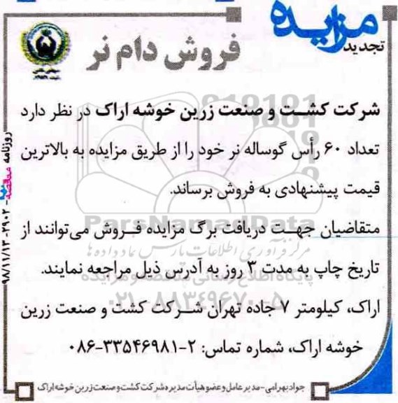 آگهی تجدید مزایده ,تجدید مزایده تعداد 60 راس گوساله نر