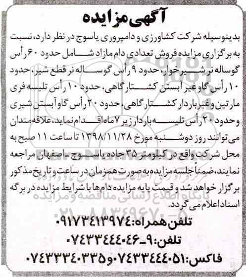 مزایده , مزایده فروش تعدادی دام