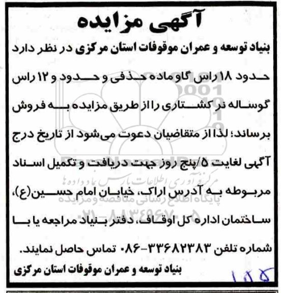 مزایده ,مزایده فروش تعداد حدود 18 راس گاو ماده حذفی