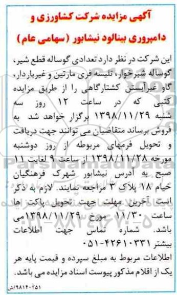 مزایده , مزایده تعدادی گوساله قطع شیر ،گوساله شیرخوار و ...