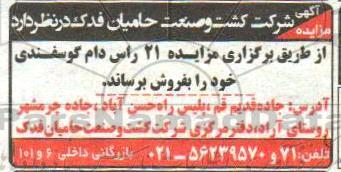 مزایده ،مزایده فروش 21 راس دام گوسفندی