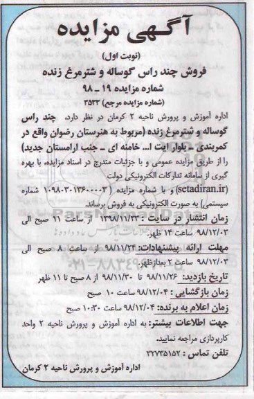 مزایده , مزایده فروش چند راس گوساله و شترمرغ زنده