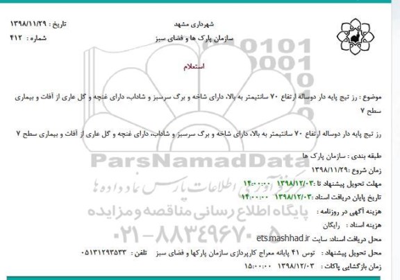 استعلام  رز تیج پایه دار دوساله