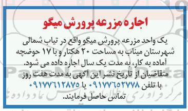 مزایده، مزایده اجاره مزرعه پرورش میگو