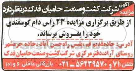 مزایده ،مزایده فروش 23 راس دام گوسفندی