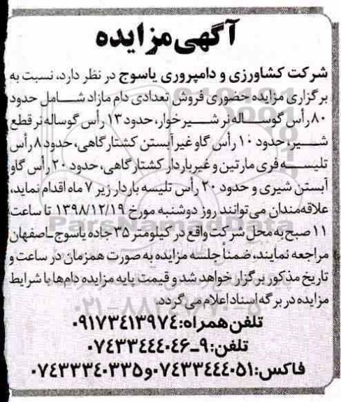 مزایده , مزایده فروش تعدادی دام 
