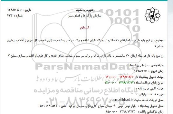 استعلام، استعلام رز تیج پایه دو ساله ارتفاع 70 سانتیمتر به بالا ...