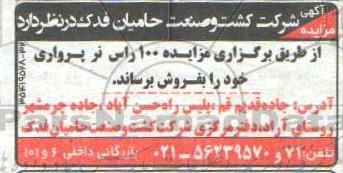 مزایده ، مزایده 100 راس نر پرواری
