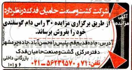 مزایده ، مزایده 30 راس دام گوسفندی