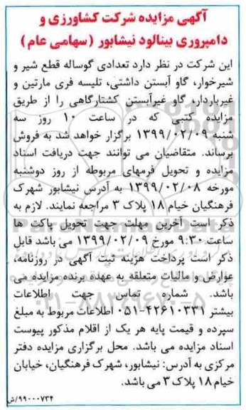 مزایده , مزایده تعدادی گوساله قطع شیر و شیرخوار، گاو آبستن داشتی و ...