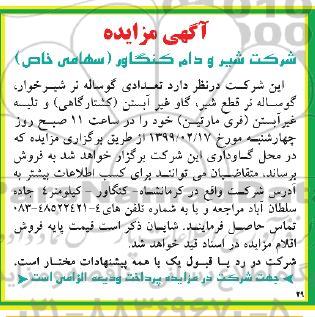 آگهی مزایده ,مزایده تعدادی گوساله نر شیرخوار ، گوساله نر قطع شیر ...