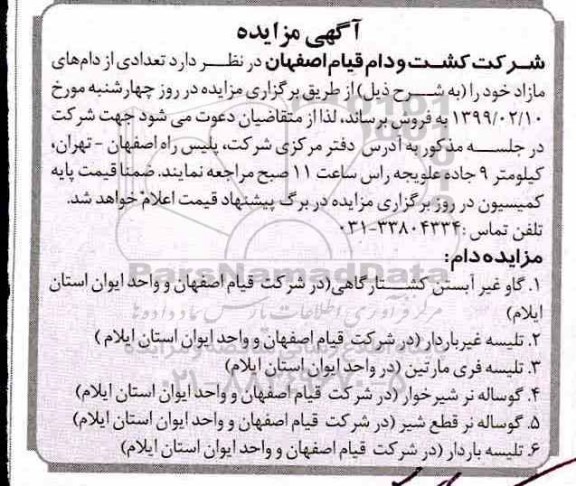 مزایده، مزایده فروش تعدادی از دام های مازاد