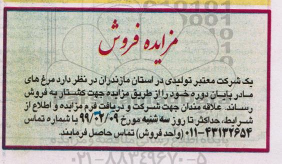 مزایده ,مزایده فروش مرغ های مادر پایان دوره
