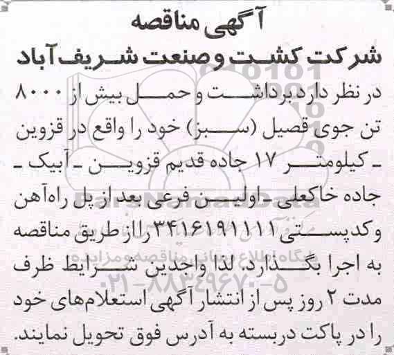 مناقصه , مناقصه برداشت و حمل بیش از 8000 تن جوی قصیل (سبز)