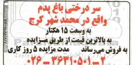 آگهی مزایده , مزایده فروش سردرختی باغ