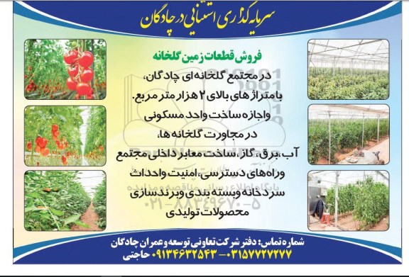 فروش قطعات زمین گلخانه بالای 2هزار متررمربع