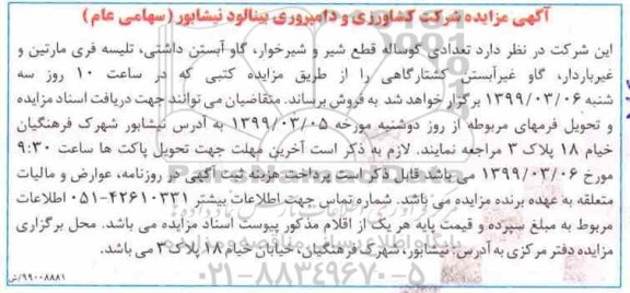 مزایده , مزایده تعدادی گوساله قطع شیر و شیرخوار، گاو آبستن داشتی و ...