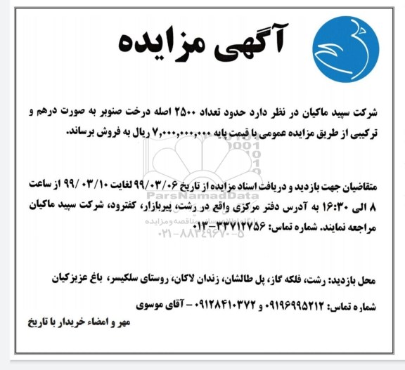 مزایده فروش تعداد 2500 اصله درخت صنوبر به صورت درهم و ترکیبی