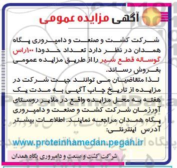 آگهی مزایده , مزایده تعداد حدودا 100 راس گوساله قطع شیر 