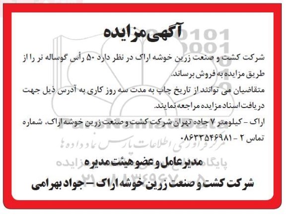  مزایده ، مزایده 50 راس گوساله نر 
