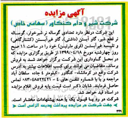 آگهی مزایده , مزایده تعدادی گوساله نر شیرخوار ، گوساله...
