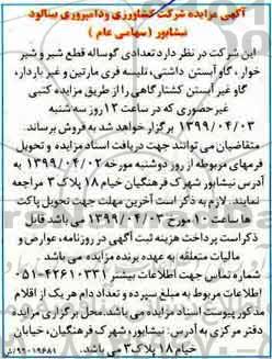 مزایده , مزایده تعدادی گوساله قطع شیر و شیرخوار، گاو آبستن داشتی و ...