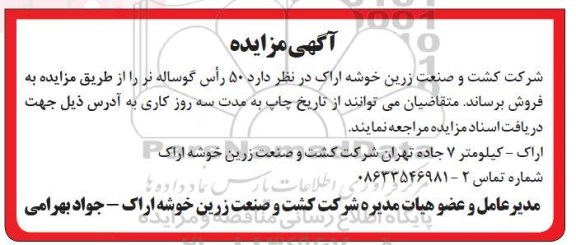 مزایده تعداد 50 راس گوساله نر 