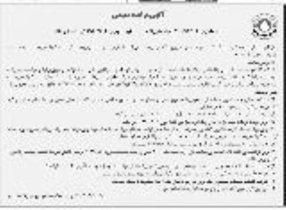 مزایده عمومی,مزایده فروش 100 راس گوساله نر نوبت دوم 