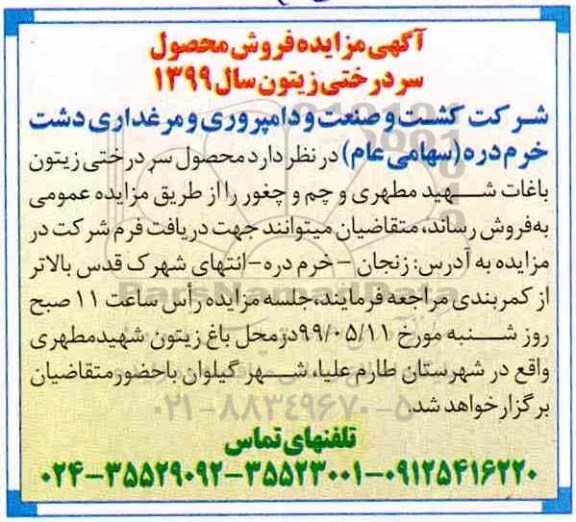 آگهی مزایده, مزایده فروش محصول سردرختی زیتون