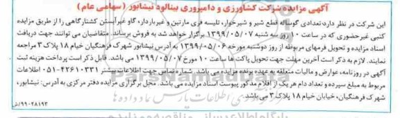 مزایده , مزایده تعدادی گوساله قطع شیر شیرخو.ار، تلیسه فری مارتین...