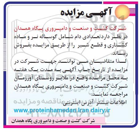 آگهی مزایده , مزایده تعدادی دام شامل گوساله نر و ماده 