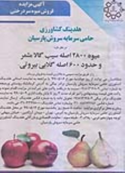 مزایده، مزایده فروش میوه 2800 اصله سیب گالامثمر و حدود 600 اصله گلابی بیروتی