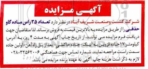 مزایده , مزایده تعداد 35 راس ماده گاو حذفی