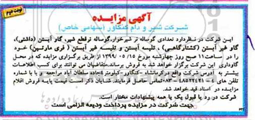 آگهی مزایده , مزایده تعدادی گوساله نر شیرخوار، گوساله نر قطع شیر و ... نوبت دوم 
