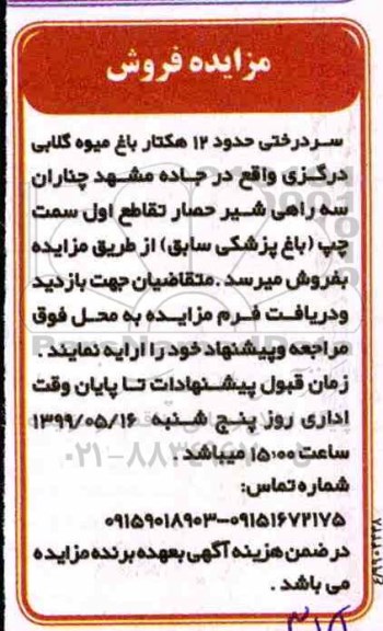 مزایده سردرختی حدود 12 هکتار باغ میوه گلابی