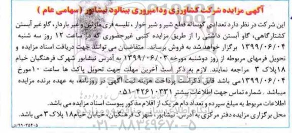 مزایده , مزایده تعدادی گوساله قطع شیر و شیرخوار