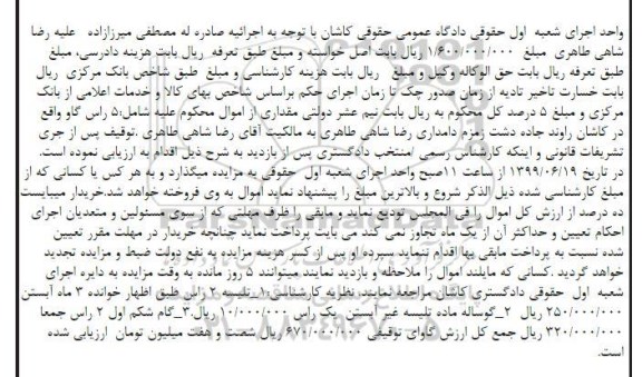 مزایده فروش تلیسه 2 راس ، گوساله ماده تلیسه غیر آبستن ، گام شکم اول 2 راس 