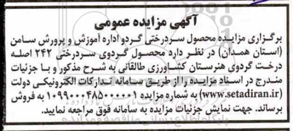 مزایده محصول سردرختی گردو