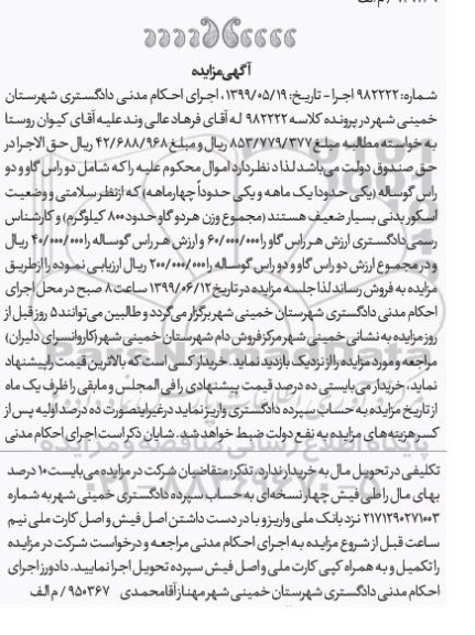 مزایده , مزایده دو راس گاو و دو راس گوساله