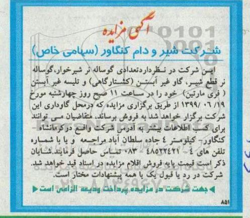 مزایده ، مزایده تعدادی گوساله نر شیرخوار، گوساله نر قطع شیر، گاو غیر آبستن