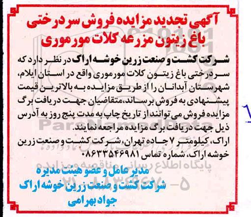 آگهی مزایده ،آگهی مزایده فروش سردرختی باغ زیتون تجدید 
