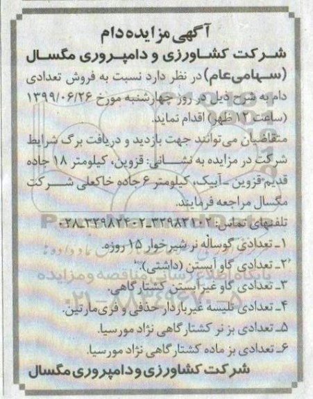 آگهی مزایده , مزایده فروش تعدادی دام