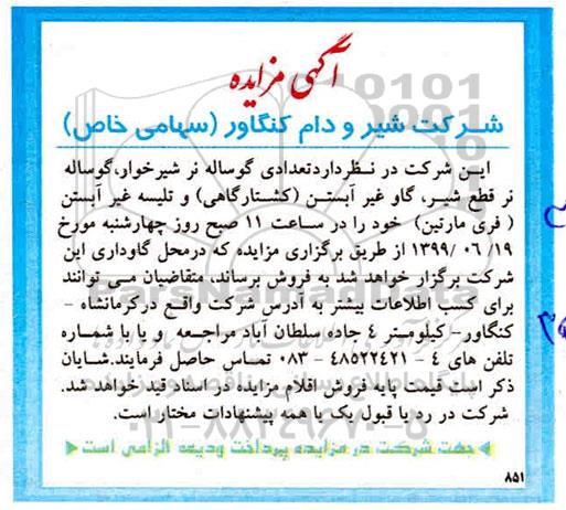 مزایده ،مزایده تعدادی گوساله نر قطع شیر، گاو غیرآبستن (کشتارگاهی) و تلیسه غیرآبستن