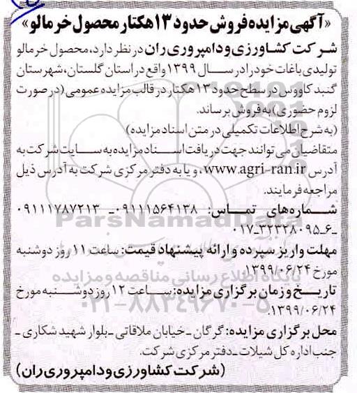 مزایده , مزایده فروش حدود 13 هکتار محصول خرمالو