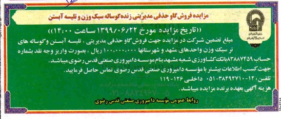 آگهی مزایده , مزایده فروش گاو حذفی مدیریتی زنده گوساله سبک وزن و تلیسه آبستن