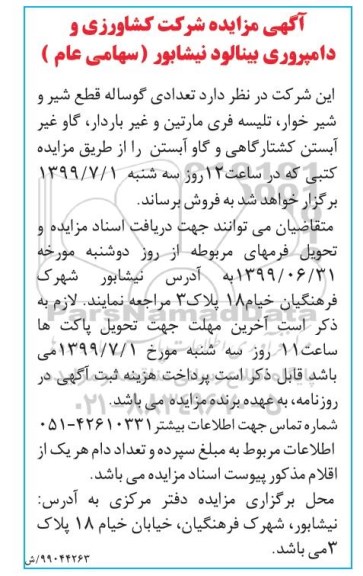 مزایده , مزایده تعدادی گوساله قطع شیر و شیرخوار
