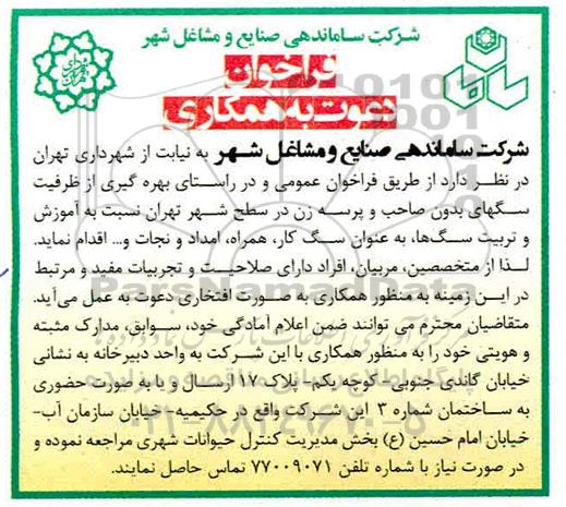 فراخوان بهره گیری از ظرفیت سگهای بدون صاحب